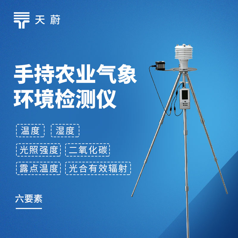 TH-SN6.jpg